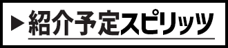 紹介予定スピリッツ